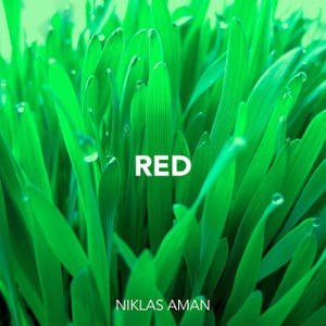 Niklas Aman