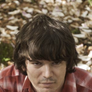 Bibio