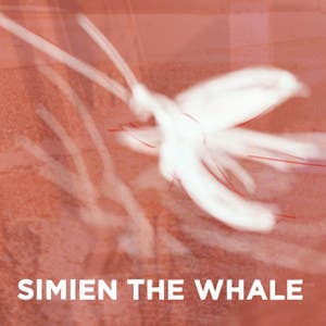 Simien the Whale