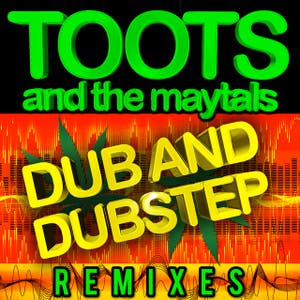 Dub and Dustep Remixes