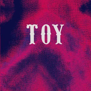 Toy