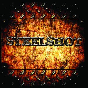 Steelshot
