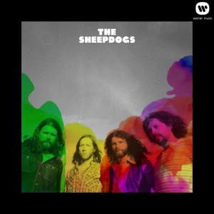 The Sheepdogs