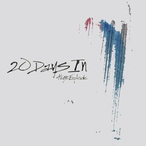 20 Days In