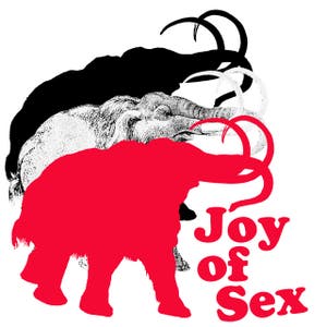 Joy Of Sex