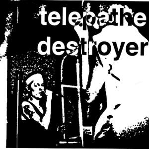 Destroyer