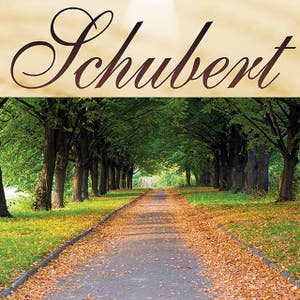 Ave Maria D.389  - Schubert