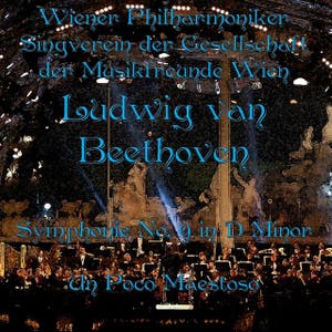 Symphony No. 9 in D Minor - Un Poco Maestoso