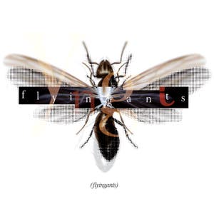 Flyingants