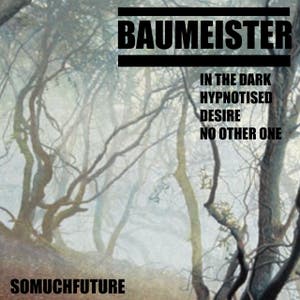 Baumeister