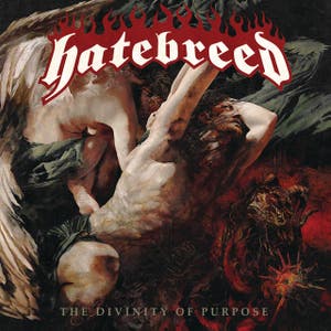 The Divinity of Purpose Album Commentary