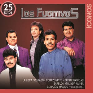 Íconos 25 Éxitos