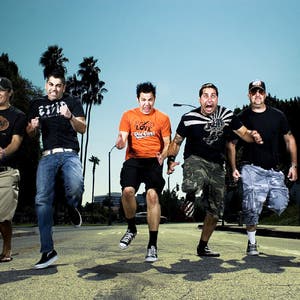 zebrahead