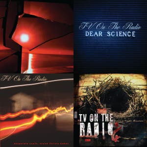 The Survivors: TV on the Radio