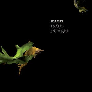 Icarus