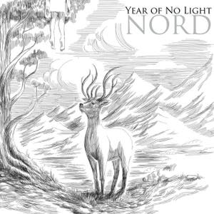 Year Of No Light