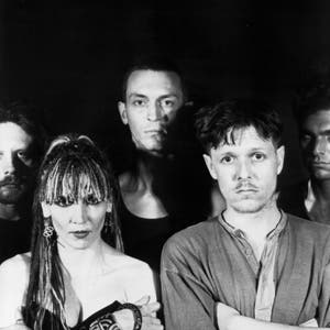 Swans