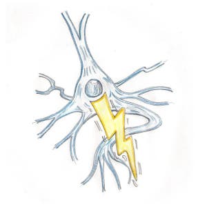 BioStorm