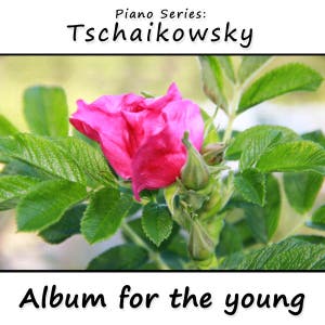 Album for the Young (Jugendalbum/Kinderalbum)