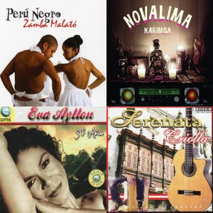 Latin Roots 4: Fajesto