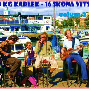 16 Sköna Vitsar volym 2
