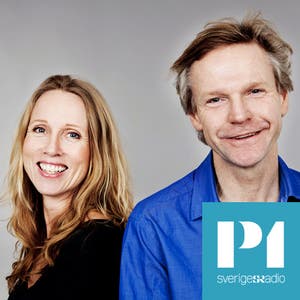Ekots Lördagsintervju 2010-2011