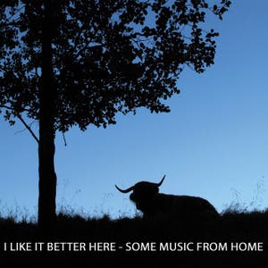 I Like It Better Here - Some Music From Home