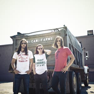 The Whigs