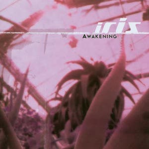 Awakening