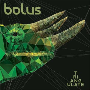 BOLUS
