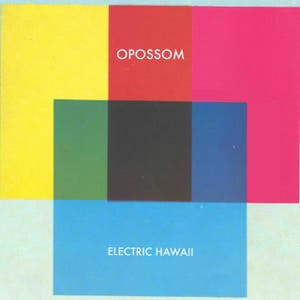 Electric Hawaii