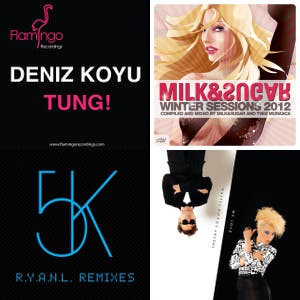 Control: Pleasurekraft, Deniz Koyu, Mr. White