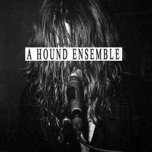 A Hound Ensemble