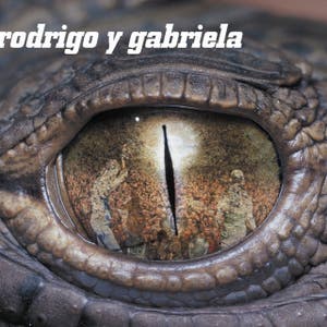 Tamacún