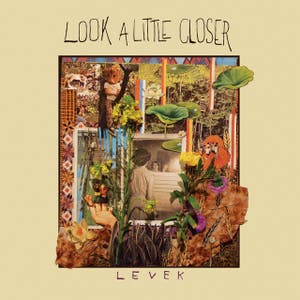 Look A Little Closer