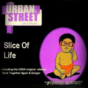 Urban Street Soul Orchestra