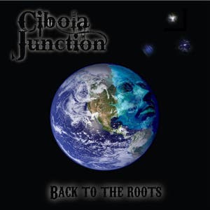 Cibola Junction
