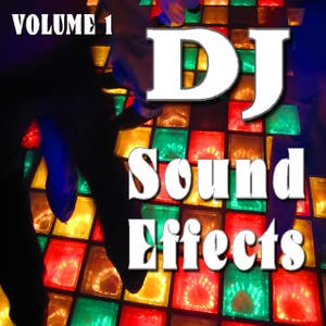 DJ Club Hits 1
