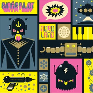 Binärpilot
