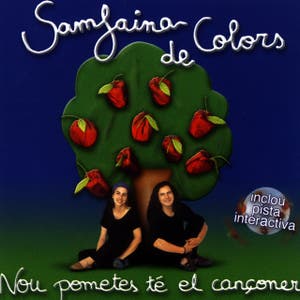 Samfaina De Colors