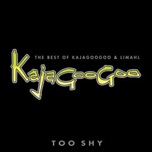 Too Shy - 2004 - Remaster