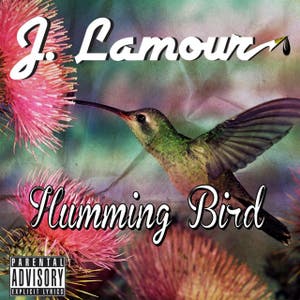 Hummingbird