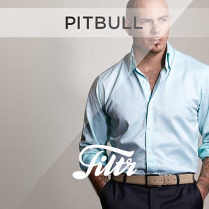 Pitbull