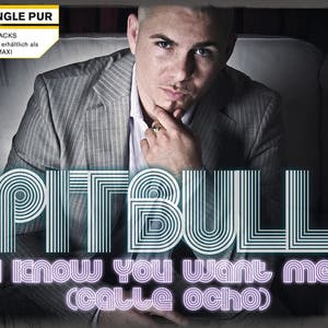 I Know You Want Me (calle ocho)