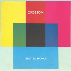 Opossom