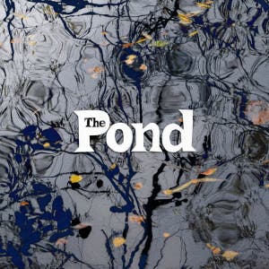 The Pond