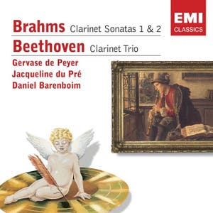 Brahms: Clarinet Sonatas 1 & 2 - Beethoven: Clarinet Trio