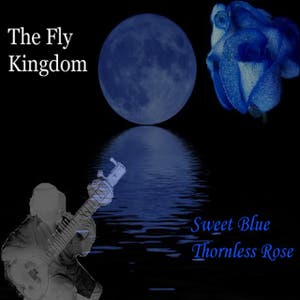 The Fly Kingdom