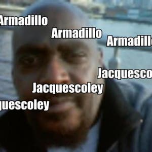 Armadillo