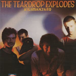 The Teardrop Explodes